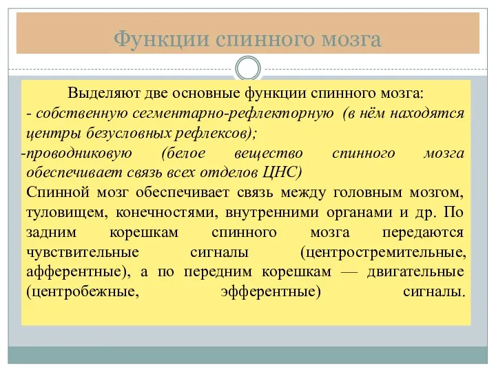 Функции спинного мозга Выделяют две основные функции cпинного мозга: -