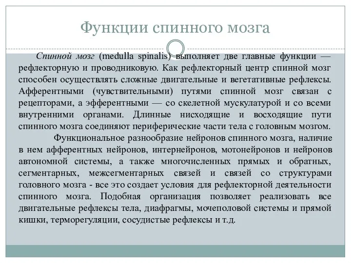 Функции спинного мозга Спинной мозг (medulla spinalis) выполняет две главные