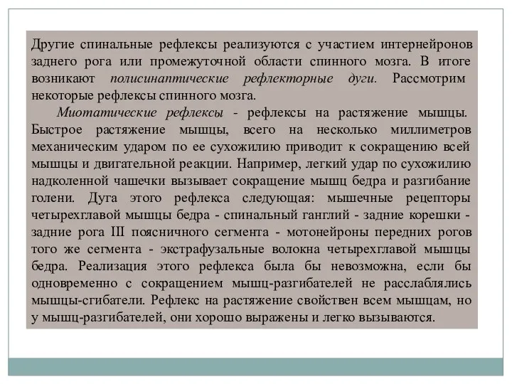 Другие спинальные рефлексы реализуются с участием интернейронов заднего рога или