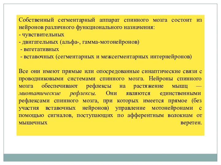 Собственный сегментарный аппарат cпинного мозга состоит из нейронов различного функционального