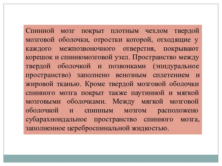 Спинной мозг покрыт плотным чехлом твердой мозговой оболочки, отростки которой,