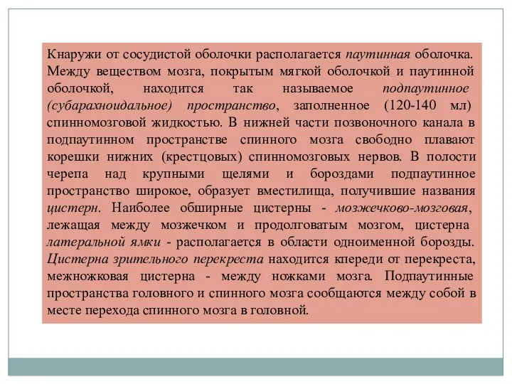 Кнаружи от сосудистой оболочки располагается паутинная оболочка. Между веществом мозга,