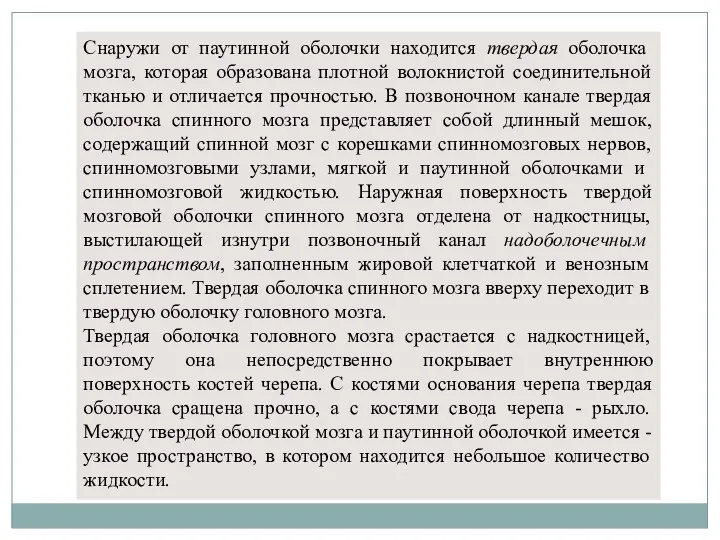 Снаружи от паутинной оболочки находится твердая оболочка мозга, которая образована