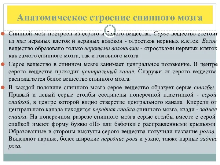 Анатомическое строение спинного мозга Спинной мозг построен из серого и