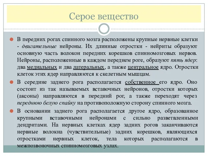 Серое вещество В передних рогах спинного мозга расположены крупные нервные