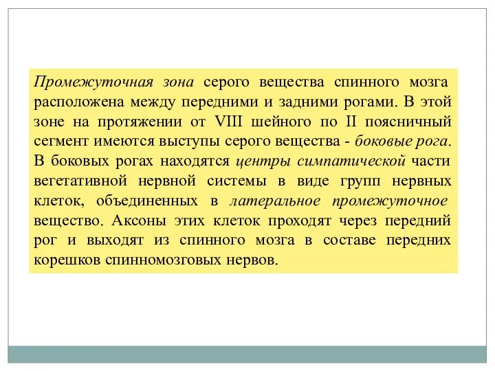 Промежуточная зона серого вещества спинного мозга расположена между передними и