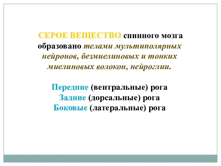 СЕРОЕ ВЕЩЕСТВО спинного мозга образовано телами мультиполярных нейронов, безмиелиновых и