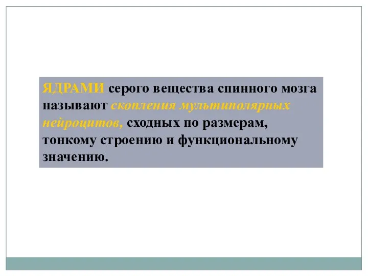 ЯДРАМИ серого вещества спинного мозга называют скопления мультиполярных нейроцитов, сходных