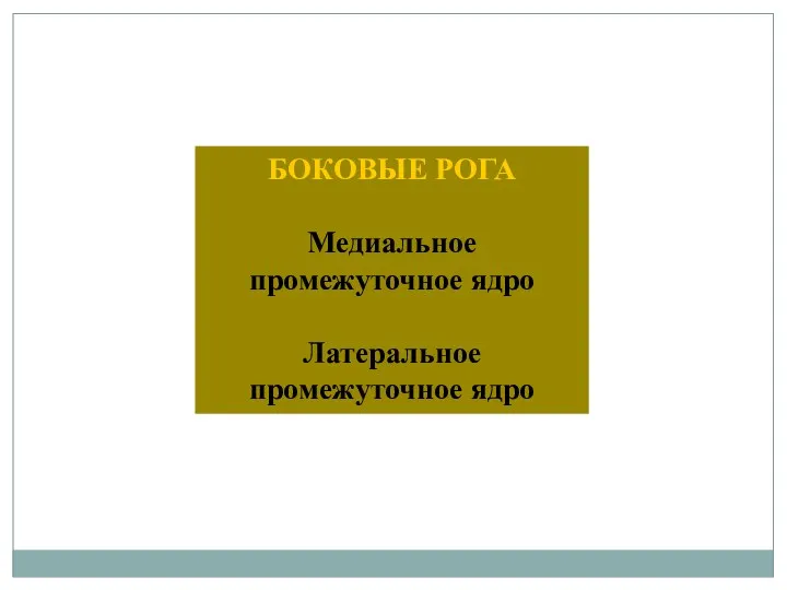 БОКОВЫЕ РОГА Медиальное промежуточное ядро Латеральное промежуточное ядро