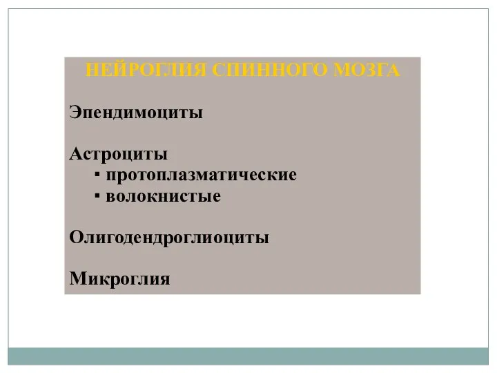 НЕЙРОГЛИЯ СПИННОГО МОЗГА Эпендимоциты Астроциты ▪ протоплазматические ▪ волокнистые Олигодендроглиоциты Микроглия