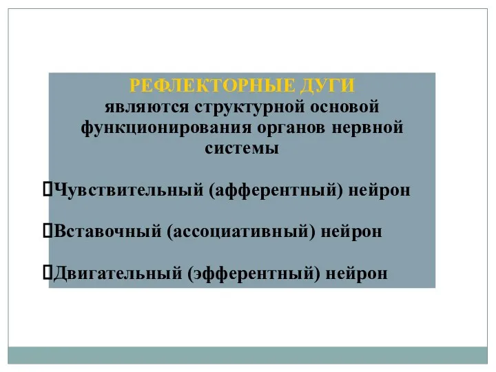 РЕФЛЕКТОРНЫЕ ДУГИ являются структурной основой функционирования органов нервной системы Чувствительный