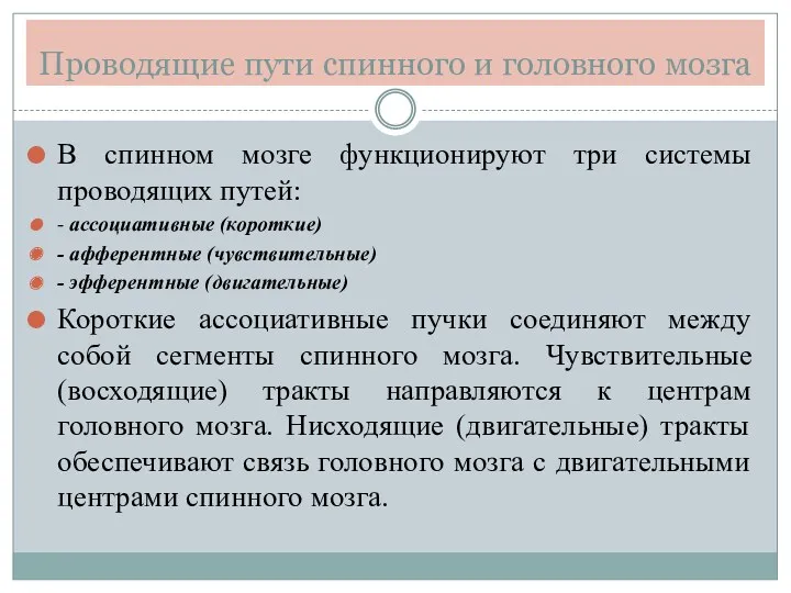 Проводящие пути спинного и головного мозга В спинном мозге функционируют