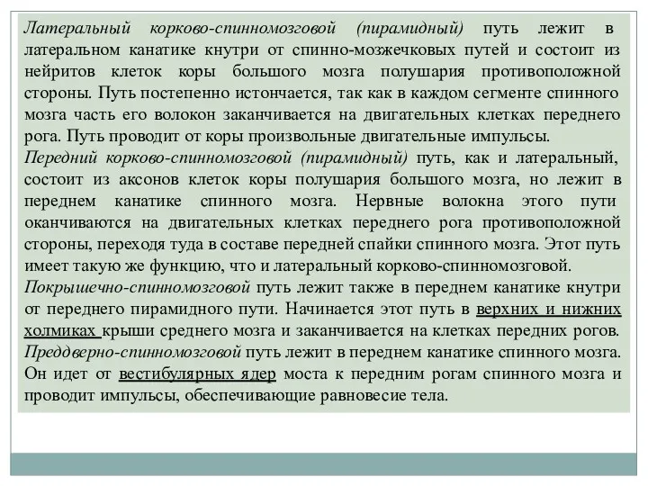 Латеральный корково-спинномозговой (пирамидный) путь лежит в латеральном канатике кнутри от