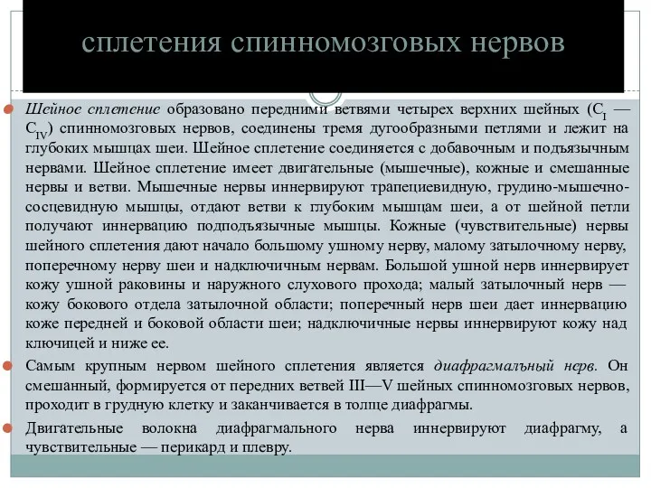 сплетения спинномозговых нервов Шейное сплетение образовано передними ветвями четырех верхних