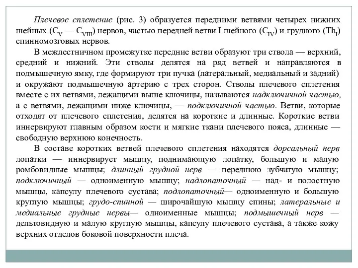 Плечевое сплетение (рис. 3) образуется передними ветвями четырех нижних шейных