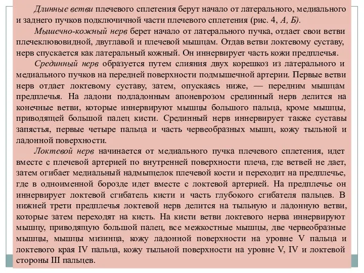 Длинные ветви плечевого сплетения берут начало от латерального, медиального и