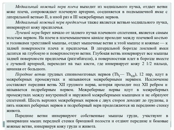 Медиальный кожный нерв плеча выходит из медиального пучка, отдает ветви