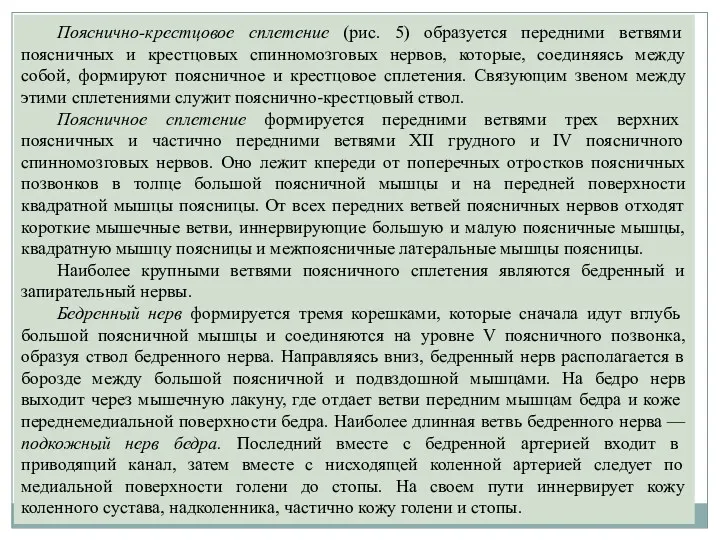 Пояснично-крестцовое сплетение (рис. 5) образуется передними ветвями поясничных и крестцовых