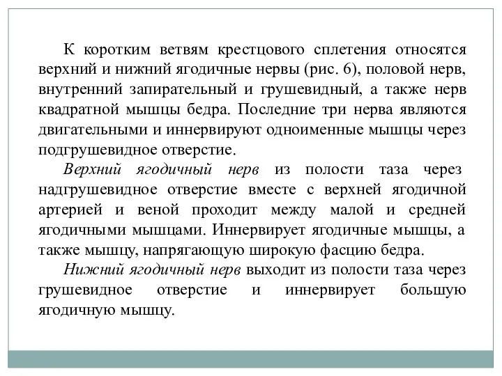 К коротким ветвям крестцового сплетения относятся верхний и нижний ягодичные