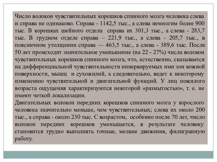 Число волокон чувствительных корешков спинного мозга человека слева и справа