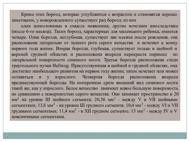 Кроме этих борозд, которые углубляются с возрастом и становятся хорошо