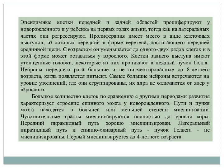 Эпендимные клетки передней и задней областей пролиферируют у новорожденного и