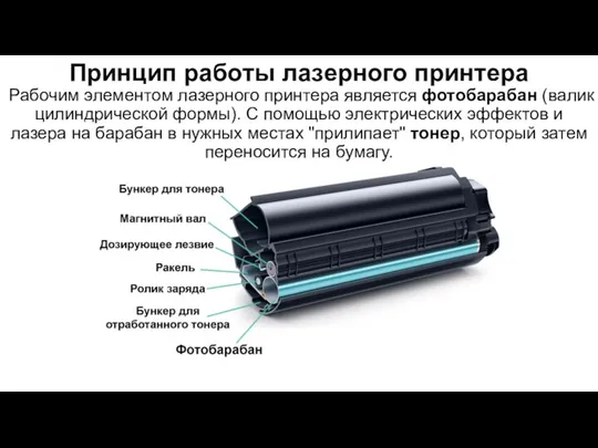 Принцип работы лазерного принтера Рабочим элементом лазерного принтера является фотобарабан (валик цилиндрической формы).