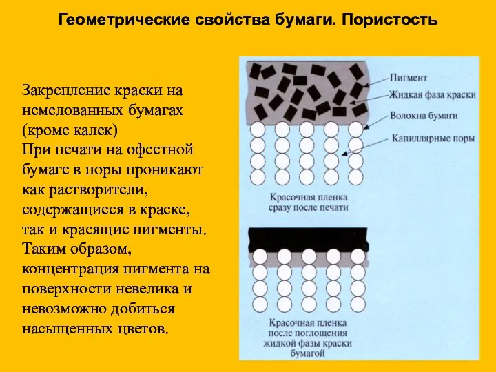 Закрепление краски на немелованных бумагах (кроме калек) При печати на