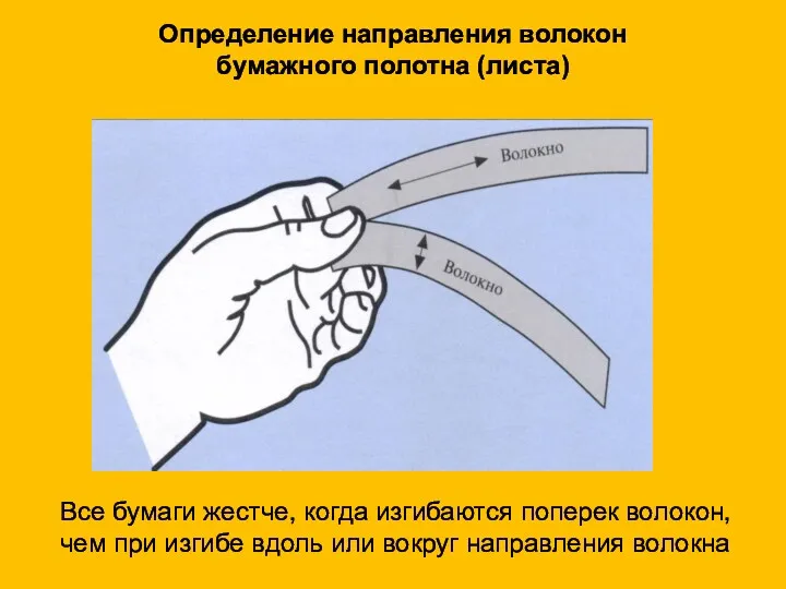 Определение направления волокон бумажного полотна (листа) Все бумаги жестче, когда