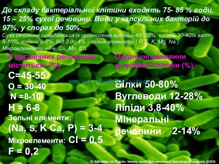 В органічних речовинах міститься: (%) С=45-55 O = 30-40 N =8-10 H =