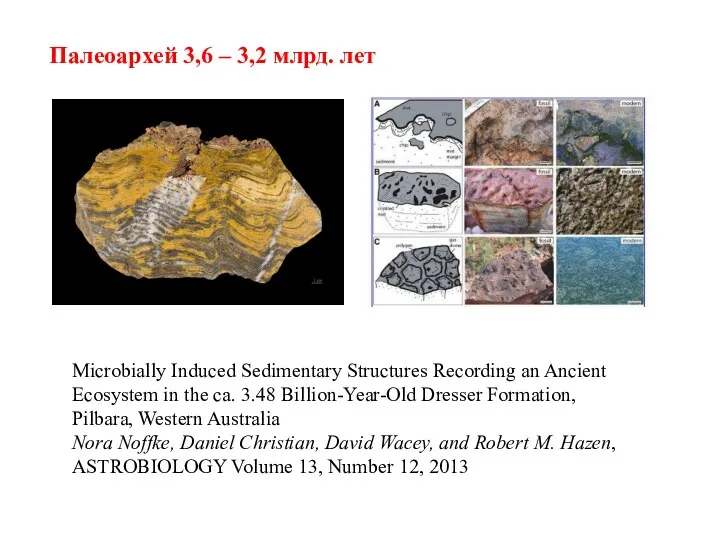 Microbially Induced Sedimentary Structures Recording an Ancient Ecosystem in the ca. 3.48 Billion-Year-Old