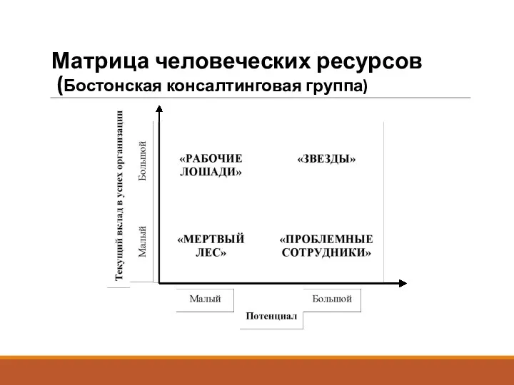 Матрица человеческих ресурсов (Бостонская консалтинговая группа)