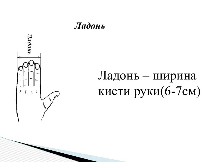 Ладонь – ширина кисти руки(6-7см) Ладонь