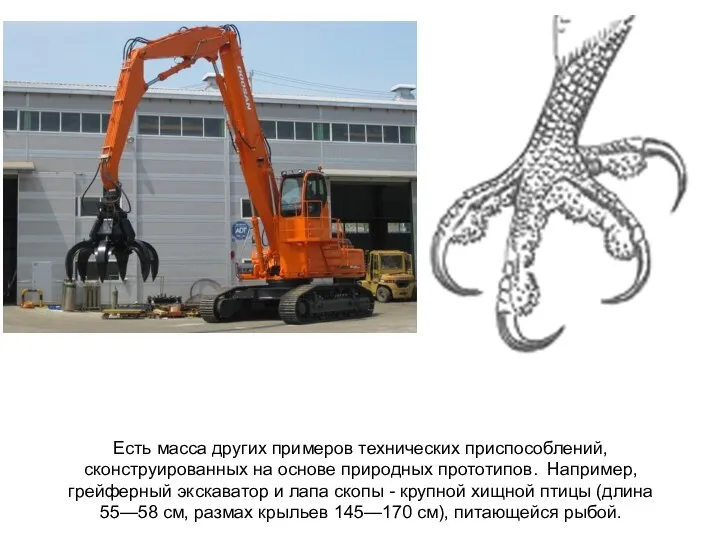 Есть масса других примеров технических приспособлений, сконструированных на основе природных