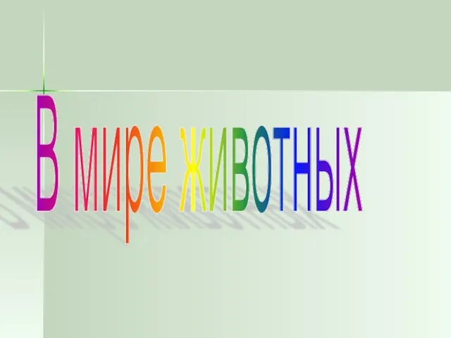 В мире животных