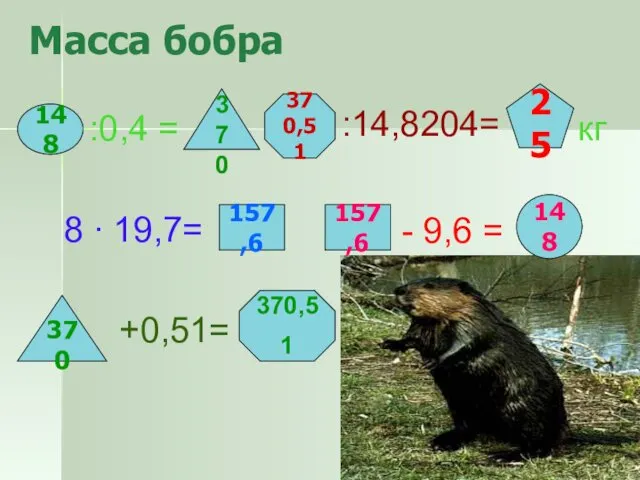 Масса бобра 148 :0,4 = 370 370,51 кг - 9,6