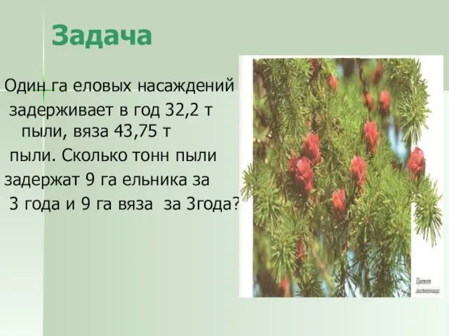 Задача Один га еловых насаждений задерживает в год 32,2 т