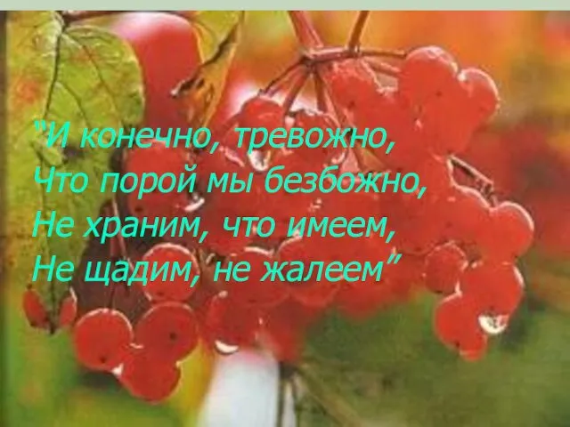 “И конечно, тревожно, Что порой мы безбожно, Не храним, что имеем, Не щадим, не жалеем”