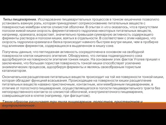 Типы пищеварения. Исследование пищеварительных процессов в тонком кишечнике позволило установить