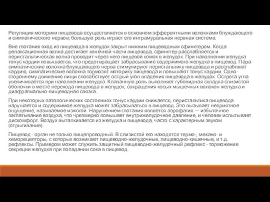 Регуляция моторики пищевода осуществляется в основном эфферентными волокнами блуждающего и