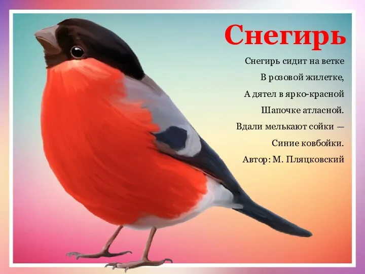 Снегирь Снегирь сидит на ветке В розовой жилетке, А дятел