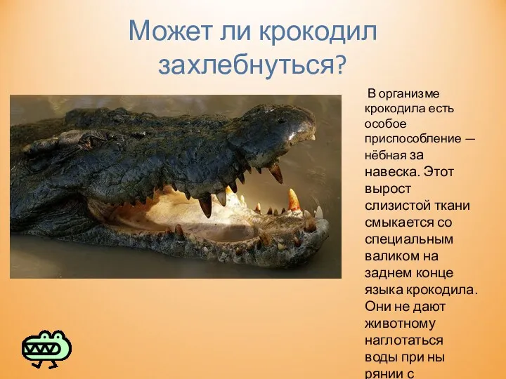 Может ли крокодил захлебнуться? В организме крокодила есть особое приспособление