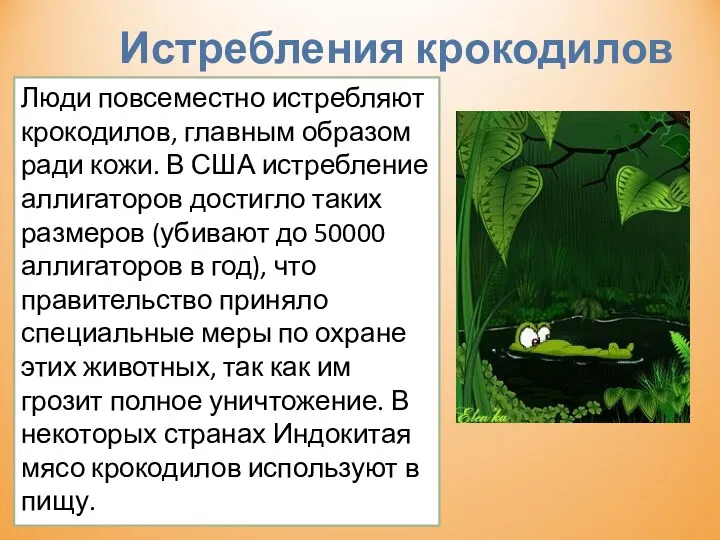 Истребления крокодилов Люди повсеместно истребляют крокодилов, главным образом ради кожи.