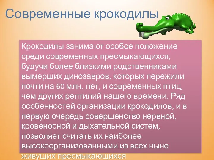 Современные крокодилы Крокодилы занимают особое положение среди современных пресмыкающихся, будучи