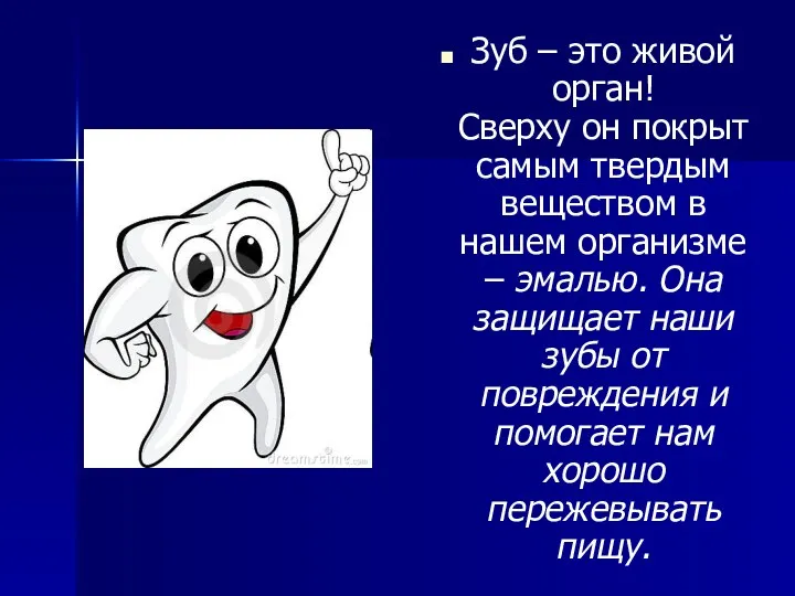 Зуб – это живой орган! Сверху он покрыт самым твердым веществом в нашем