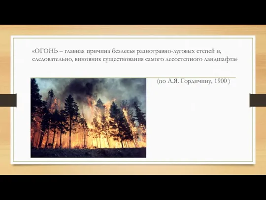 «ОГОНЬ – главная причина безлесья разнотравно-луговых степей и, следовательно, виновник