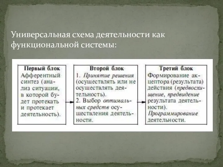 Универсальная схема деятельности как функциональной системы: