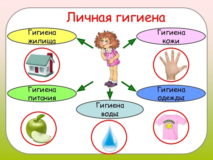 Личная гигиена Гигиена кожи Гигиена питания Гигиена одежды Гигиена воды Гигиена жилища