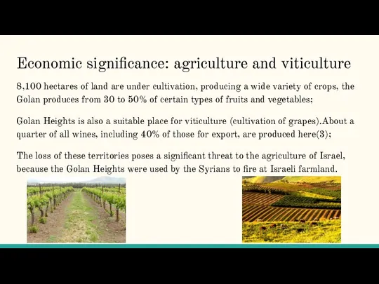 Economic significance: agriculture and viticulture 8,100 hectares of land are