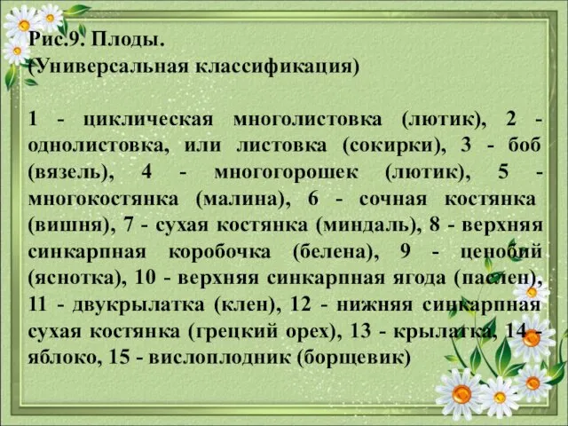 Рис.9. Плоды. (Универсальная классификация) 1 - циклическая многолистовка (лютик), 2